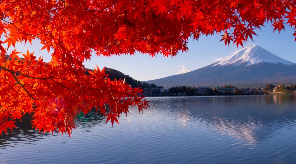 A Honeymoon That Moves from Modern Tokyo to Artisan Japan and Timeless Kyoto