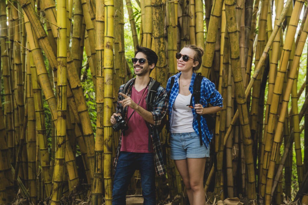 Chiang Mai — Hilltribe Culture, Elephants, and Bamboo Rafting (3 Nights)