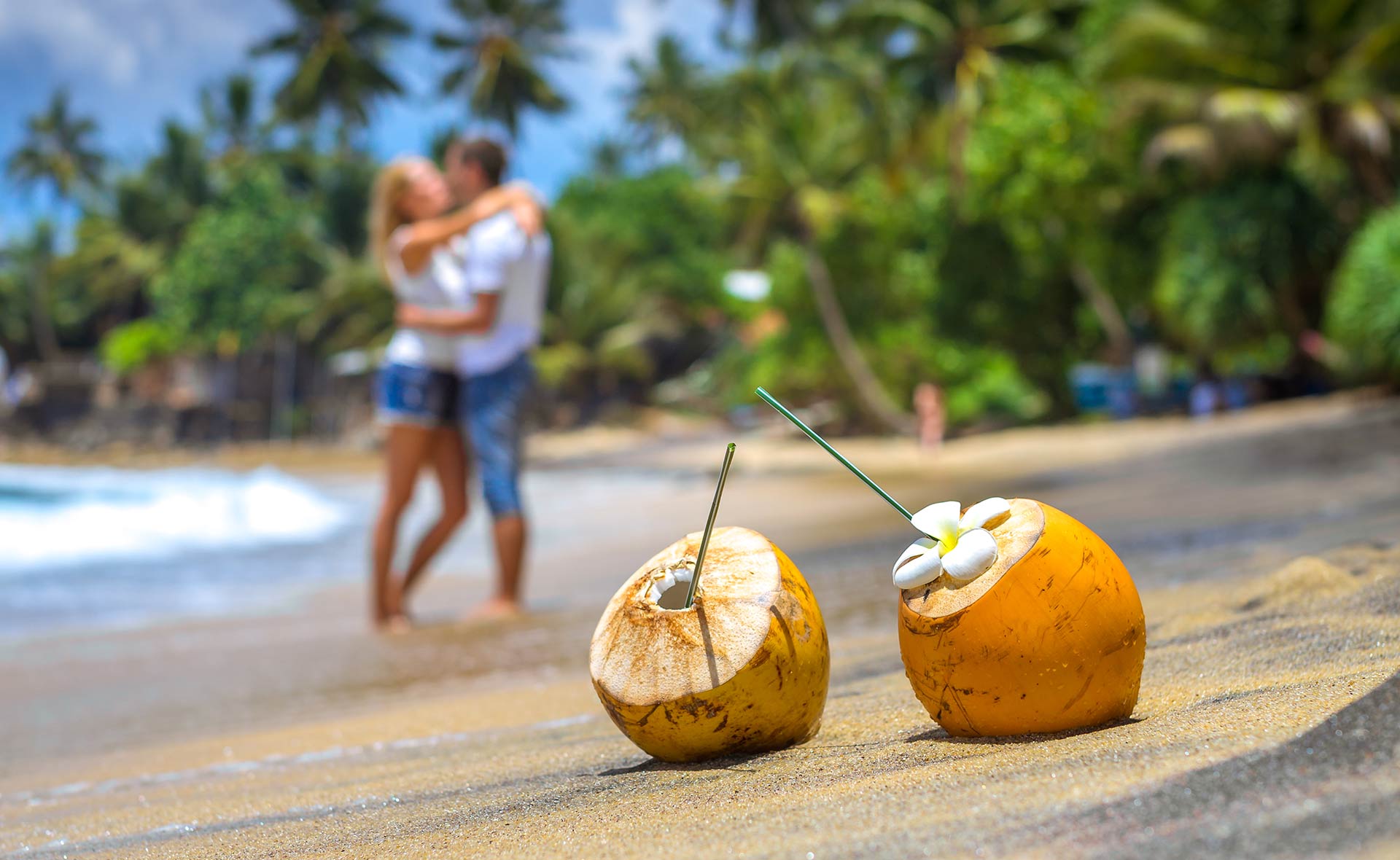 Warm Sri Lanka light—where the journey feels intimate from day one