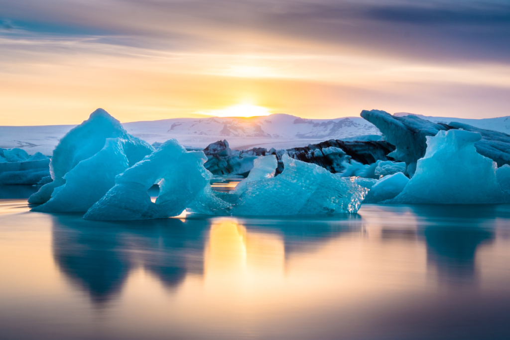 A Journey Through Iceland’s Arctic Summer—Wildlife, Water, and Warmth
