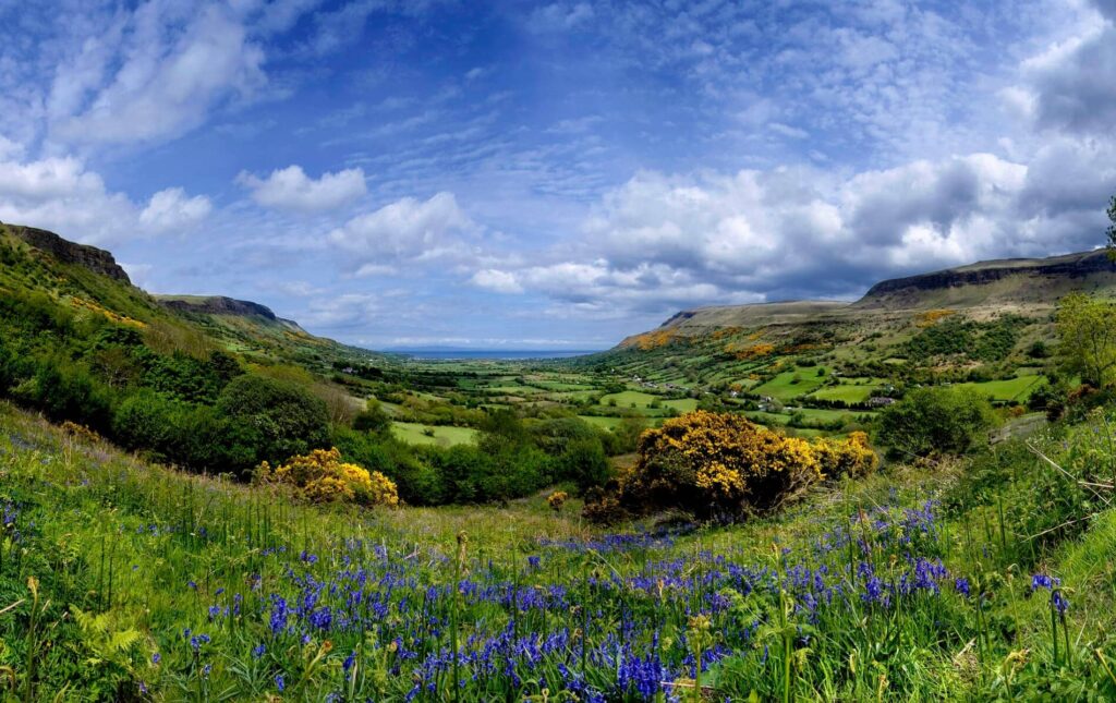 County Antrim Sea Cliffs, Shipwreck Shores, and the King’s Road
