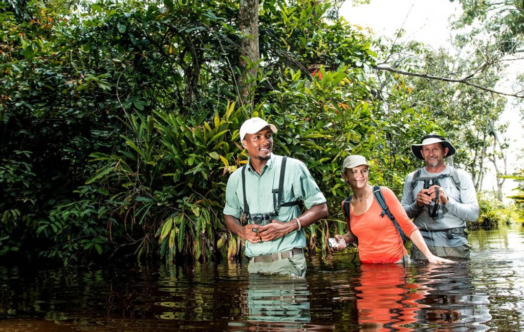 A Congo Safari Honeymoon Through the Heart of the Rainforest