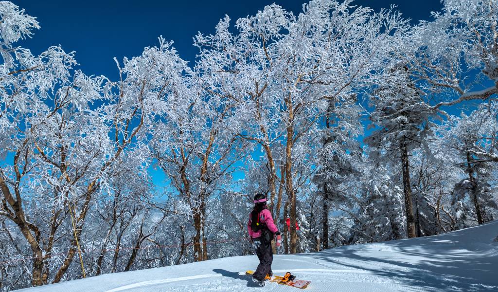A Japan Ski Honeymoon Blending City Energy and Alpine Serenity