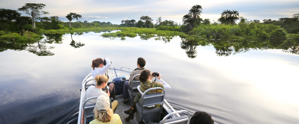 Congo Safari Honeymoon Into the Rainforest (8 Nights)