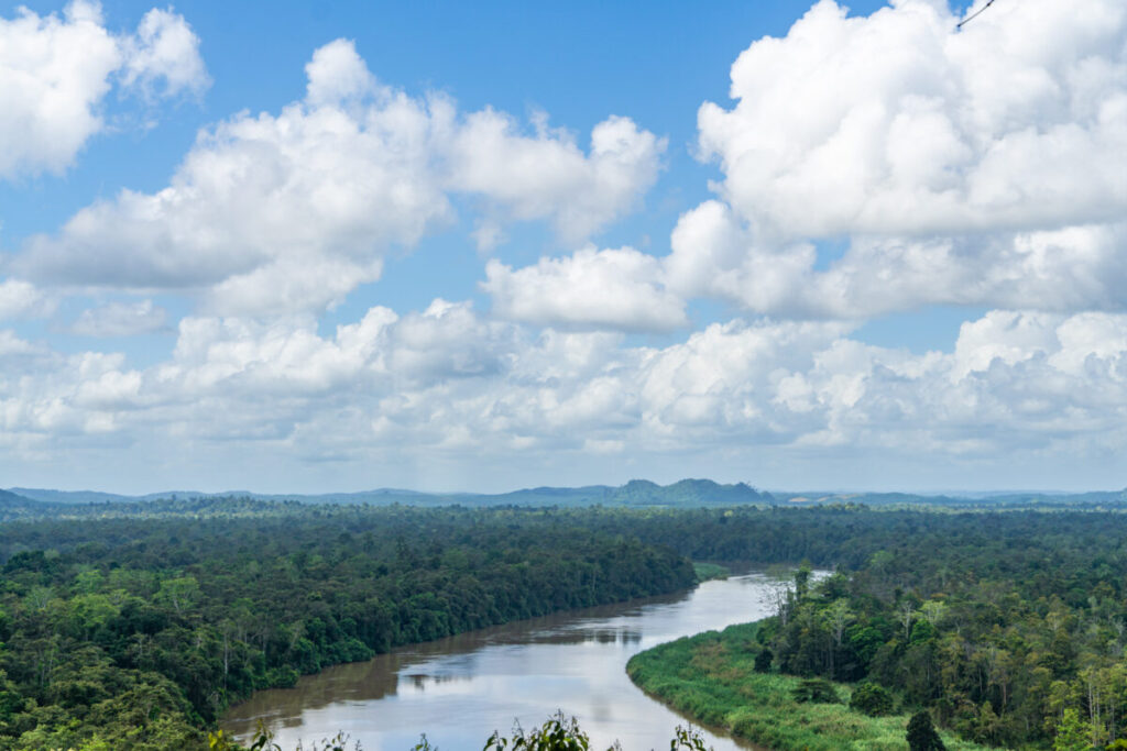 Kinabatangan River Continue into Borneo’s Wildlife Corridor