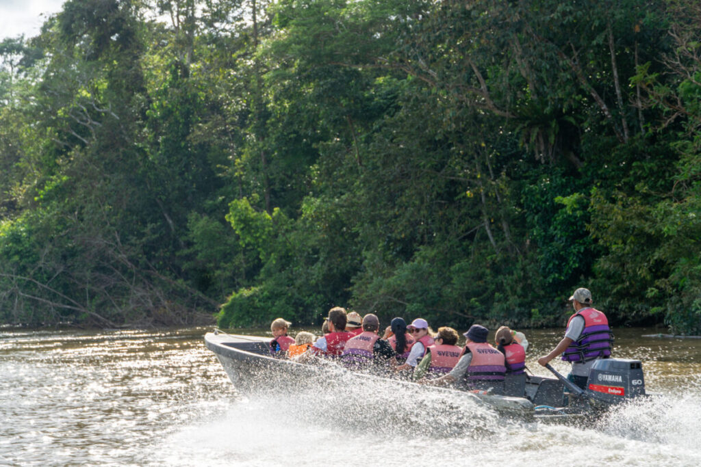 Kinabatangan River Continue into Sabah’s Rainforest