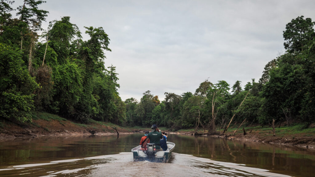 Kinabatangan River Wildlife and Slow Jungle Exploration