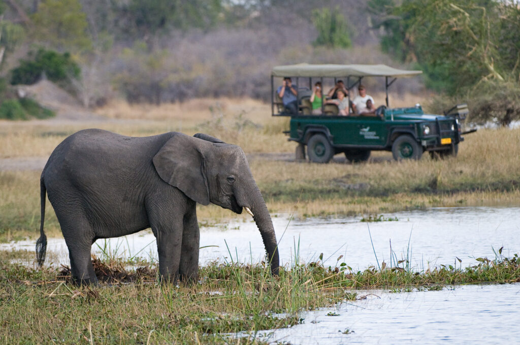 Liwonde National Park Then Follow the Shire River