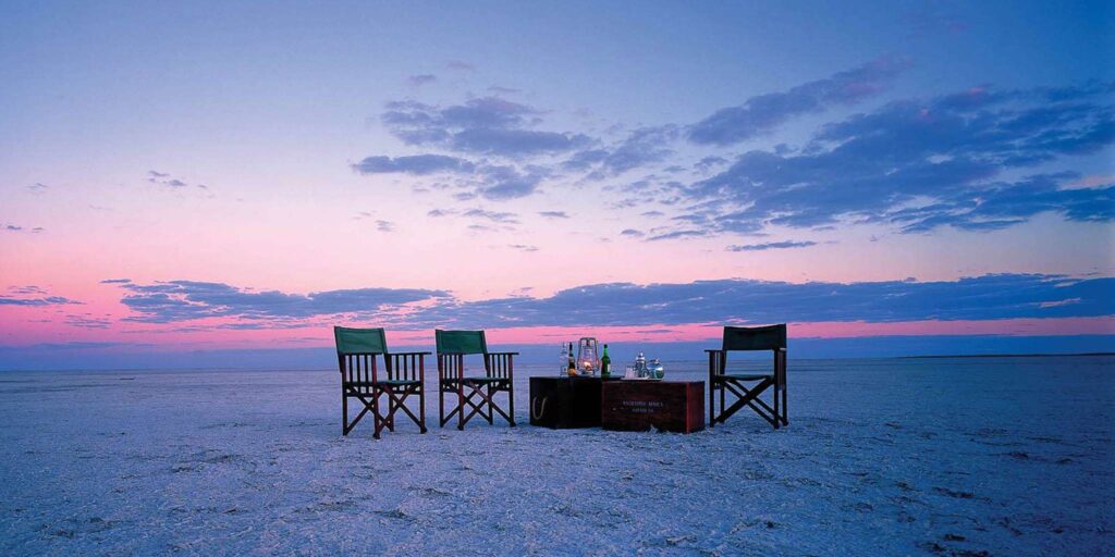 Makgadikgadi Salt Pans + Moremi Game Reserve Desert Silence to Big-Game Intensity (Days 8–12)