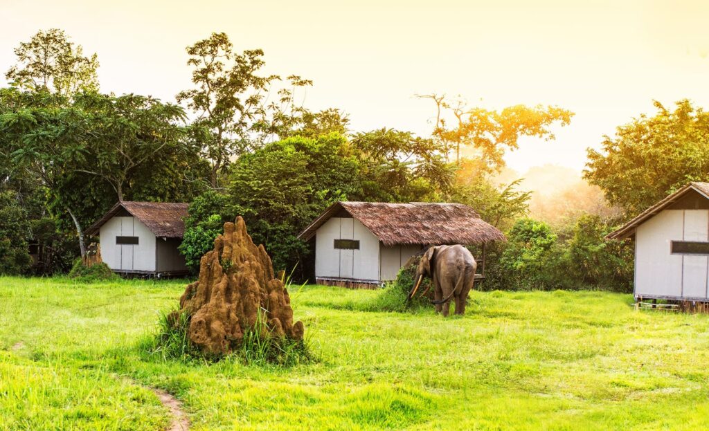 Mboko Camp Rivers, Open Landscapes and a Wilder Finish