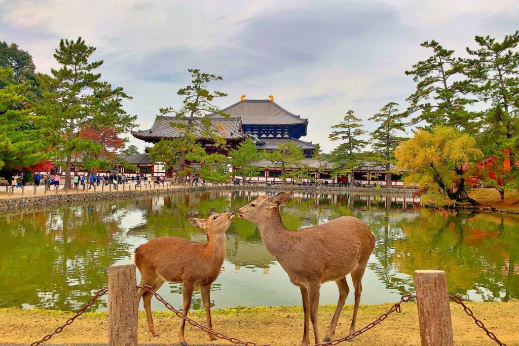 Nara Finally, Explore Japan’s Ancient Capital