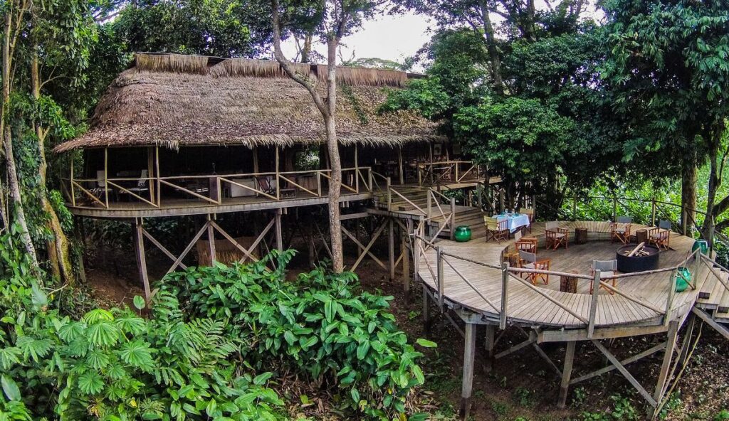 Ngaga Camp Gorilla Trekking in Odzala-Kokoua National Park