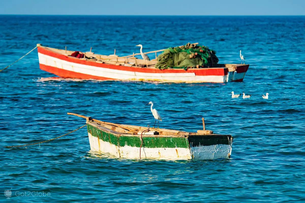 Colourful traditional fishing boats resting on golden sand at Vilanculos beach with turquoise Indian Ocean horizon and soft afternoon light, Mozambique coastal town, editorial travel photography