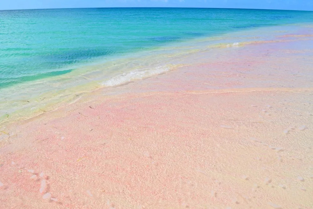 Endless stretch of pink-tinged sand on Barbuda's western shore with shallow turquoise water and a single figure walking in the distance, barefoot Caribbean luxury honeymoon, editorial photography