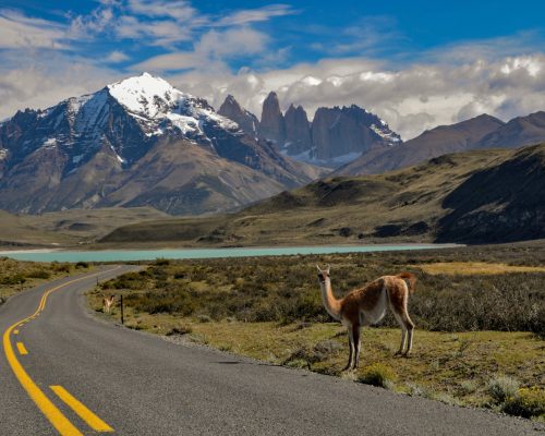 Luxury Patagonia Camping for Two: A Honeymoon in the Wild (10 Days)w