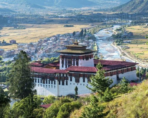 Aerial view of Paro Valley in Bhutan with terraced rice paddies, traditional fortress and prayer flags visible against forest