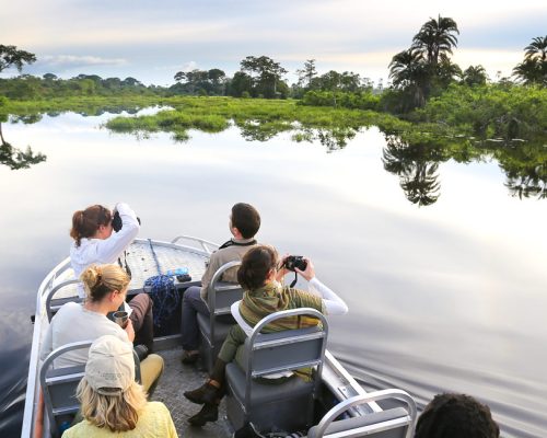 Congo Safari Honeymoon: Into the Rainforest (8 Nights)