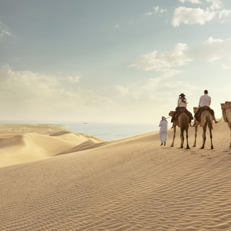 Desert Serenity Meets Indulgence