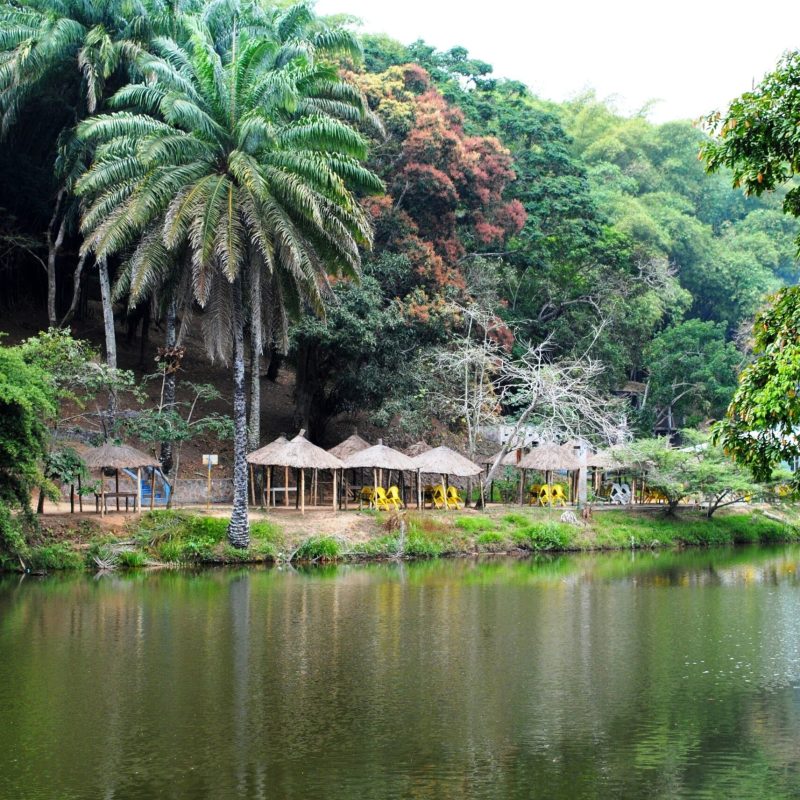 Discover Congo Together​ (2)