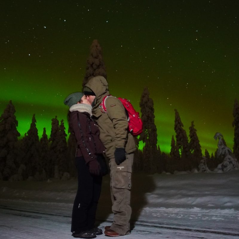 Northern Lights, Midnight Sun, and Wild-Beautiful Luxury