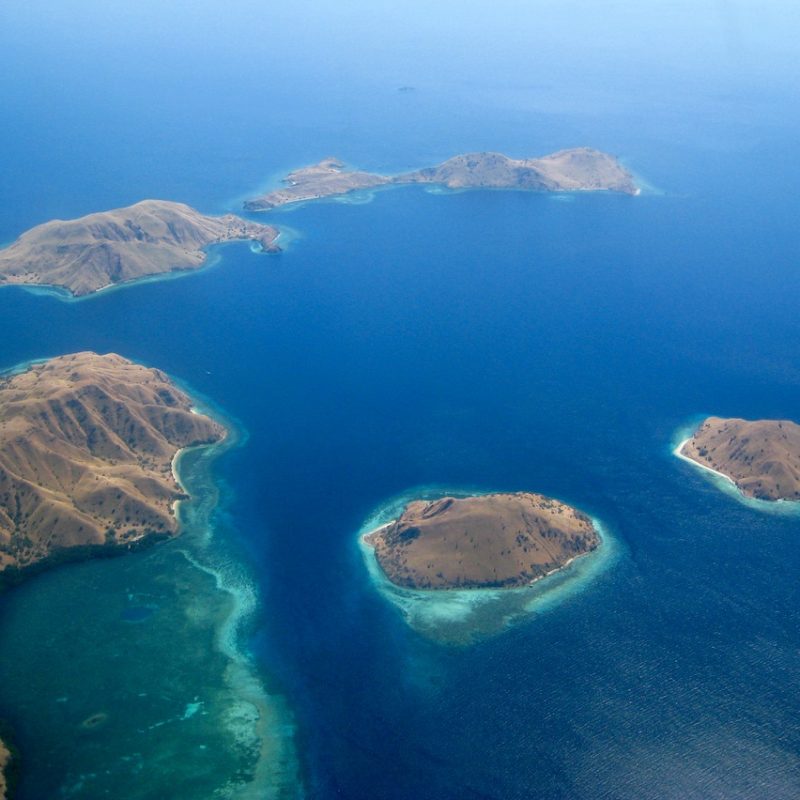 Komodo Magic, Reef Blues, and Legendary Temples