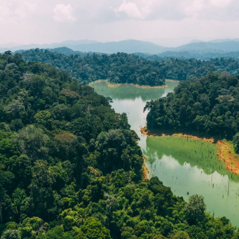 Rainforest Calm, Island Bliss, and Once-in-a-Lifetime Nature