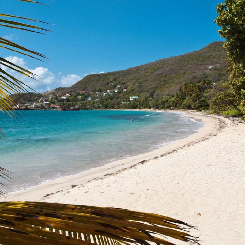 Sailing the Grenadines Drop Anchor, Swim, Repeat​