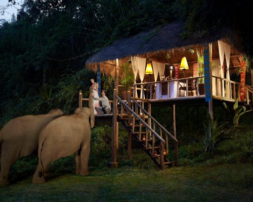 Thailand: Golden Triangle Elephants & Bangkok After Dark (3 Nights)