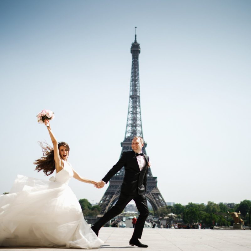 The Vineyards of Bordeaux The Vineyards of Bordeaux