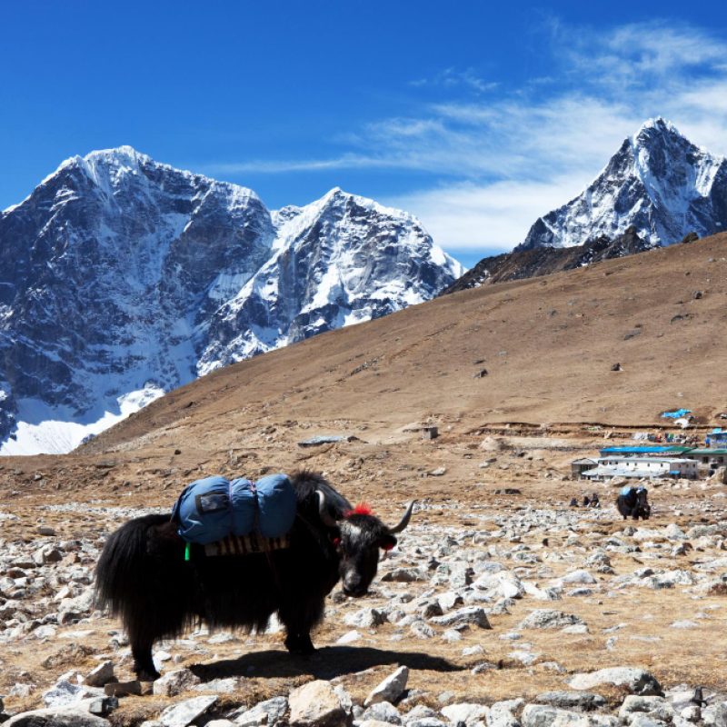 Touch the Sky — Everest by Helicopter Touch the Sky — Everest by Helicopter