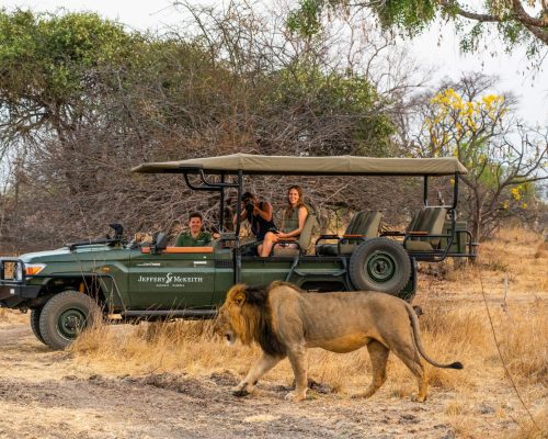 Zambia & Malawi Safari Honeymoon: Safari to Lake Malawi (10 Nights)